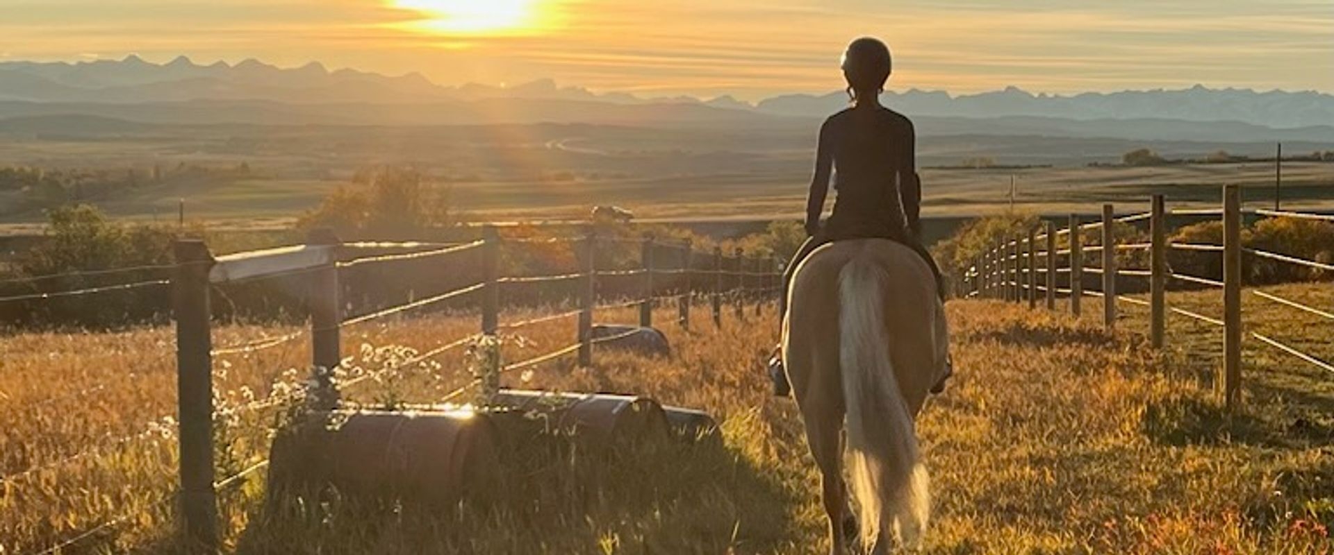Youth riding a smoky palomino on a trail between two wire fences at sunset