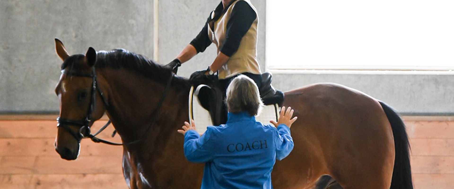 Instructor educating rider on a horse